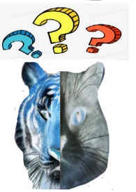 到底谁才是内鬼